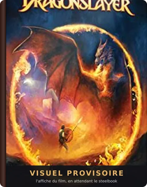 Le Dragon du lac de feu, le steelbook