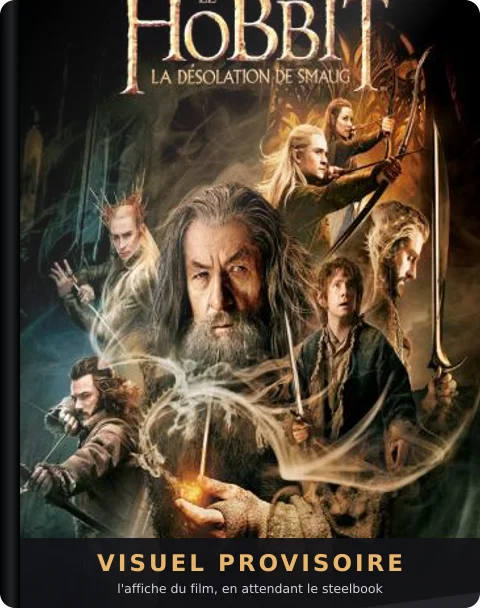 Le Hobbit : La Désolation de Smaug, Steelbook 3 sur 6