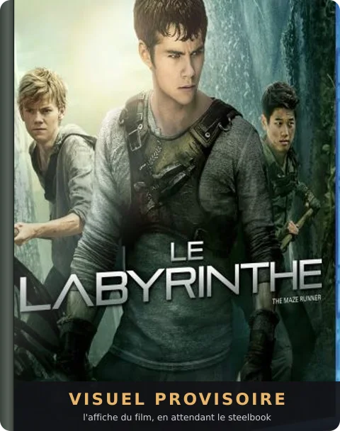 Le Labyrinthe, le steelbook