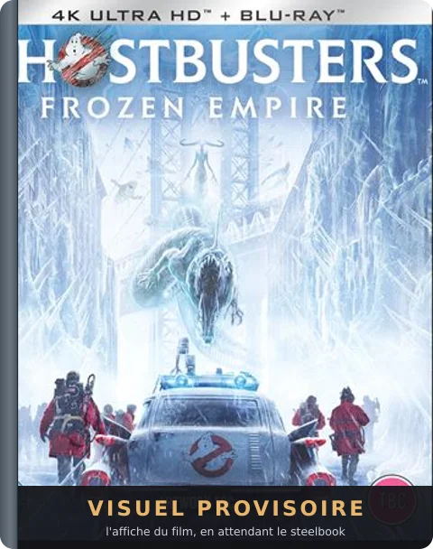 SOS Fantômes : la Menace de glace, Steelbook 4 sur 4