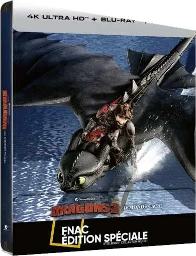 Dragons 3 : Le Monde caché, le steelbook