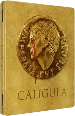 Steelbook n° 1