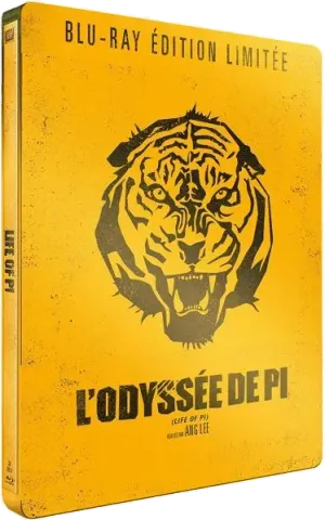 L'Odyssée de Pi, 1 édition