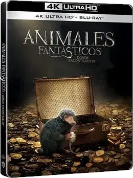 Les Animaux fantastiques, steelbook n° 4