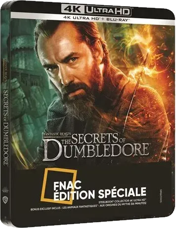 Les Animaux fantastiques: Les Secrets de Dumbledore