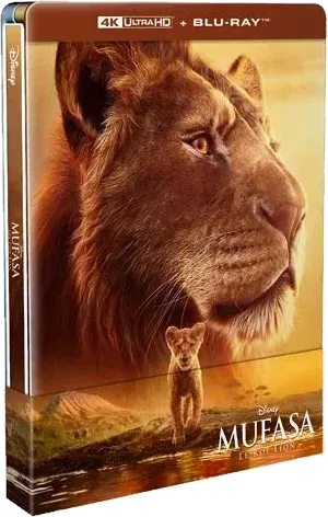 Steelbook n° 1