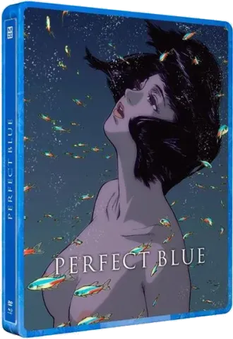 Steelbook n° 2