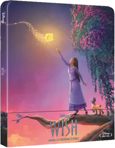 Wish : Asha et la Bonne Étoile, 1 édition
